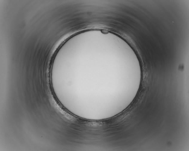 X0000115080947200911171150