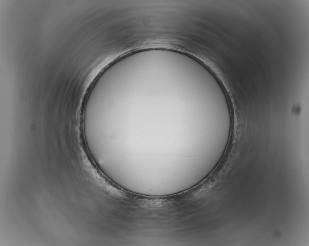 X0000115080949200911171150
