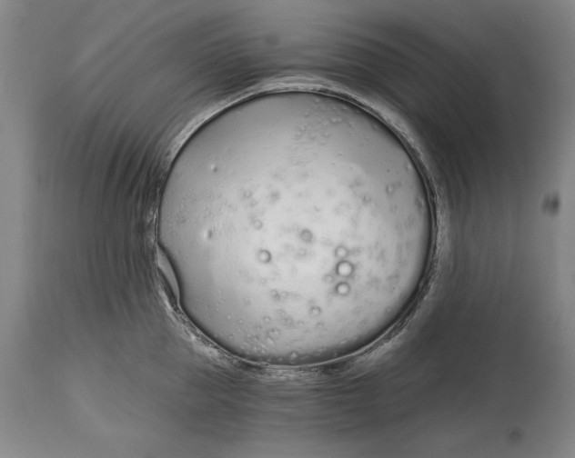 X0000115080953200911171151