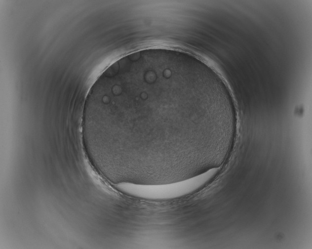 X0000115080954200911171151
