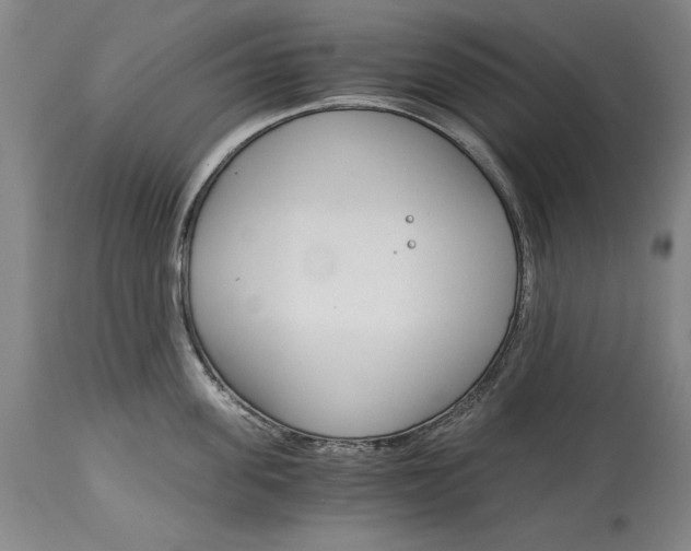 X0000115080955200911171151