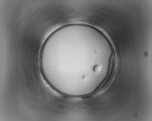 X0000115080957200911171151