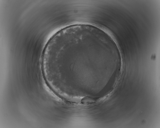 X0000115080958200911171151