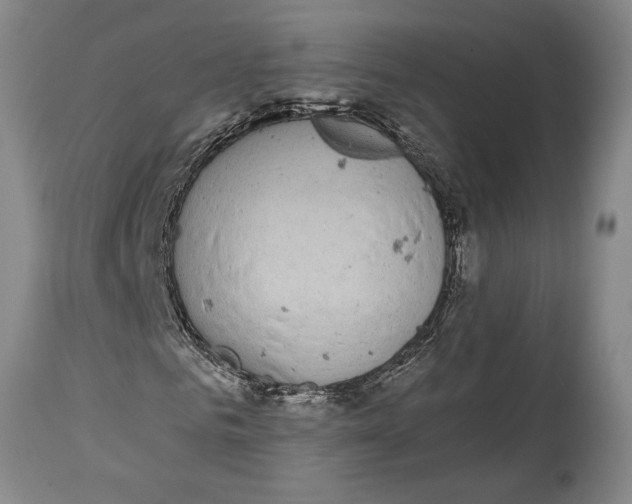 X0000115080961200911171150