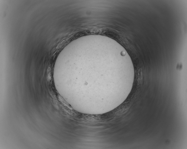 X0000115080962200911171150