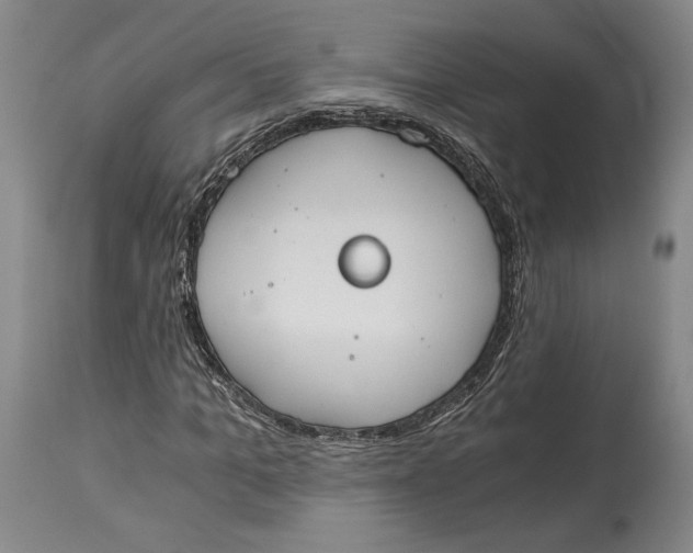 X0000115080965200911171150