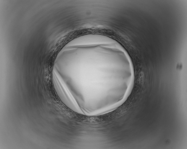 X0000115080966200911171150