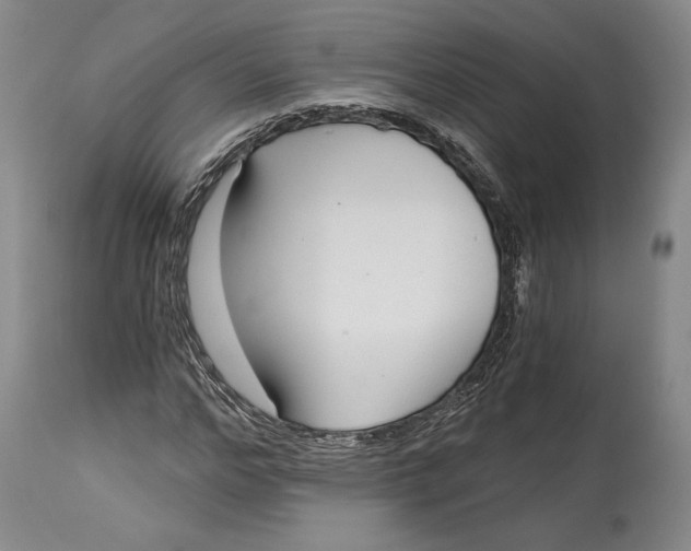 X0000115080968200911171150