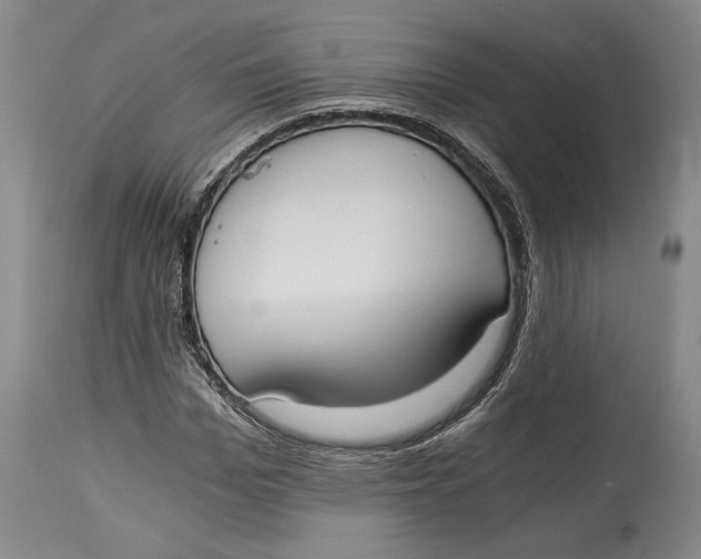 X0000115080969200911171150