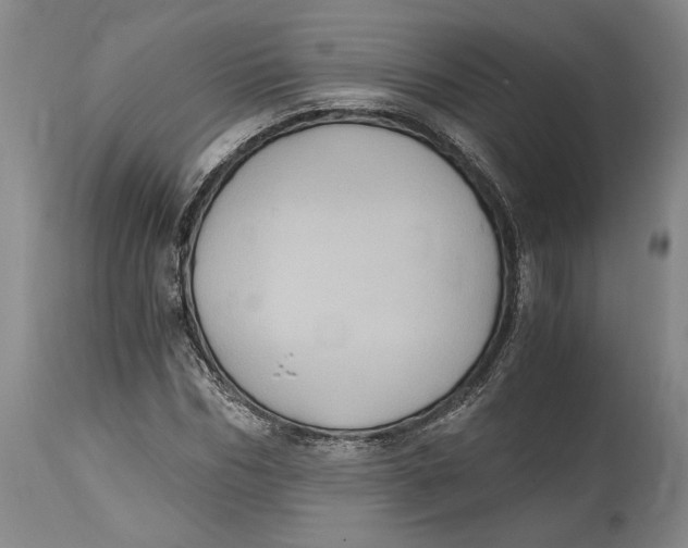 X0000115080970200911171150