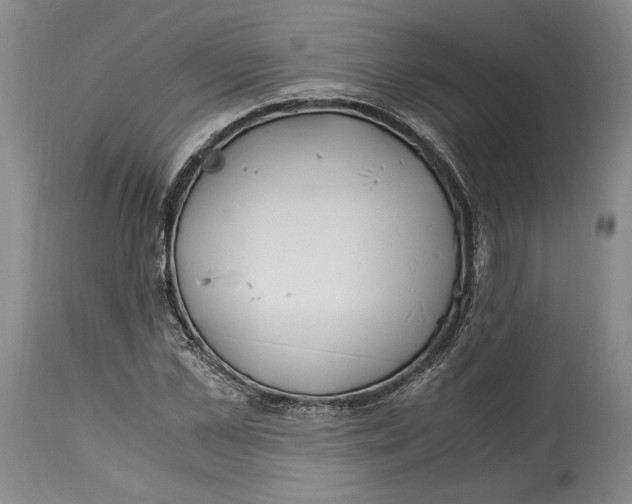 X0000115080973200911171150