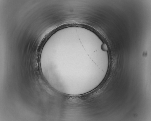 X0000115080974200911171150