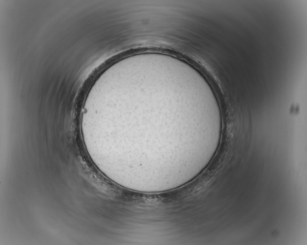 X0000115080975200911171150