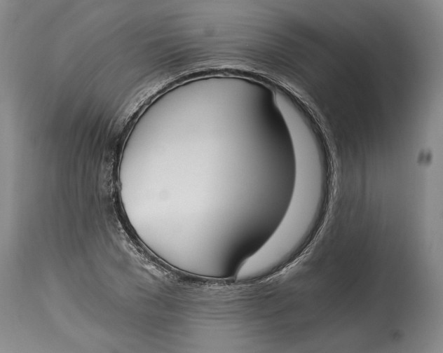 X0000115080977200911171150
