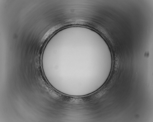 X0000115080978200911171150