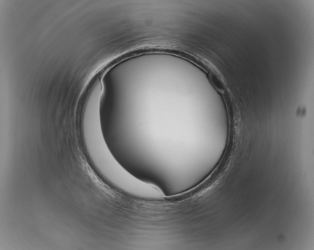 X0000115080981200911171150