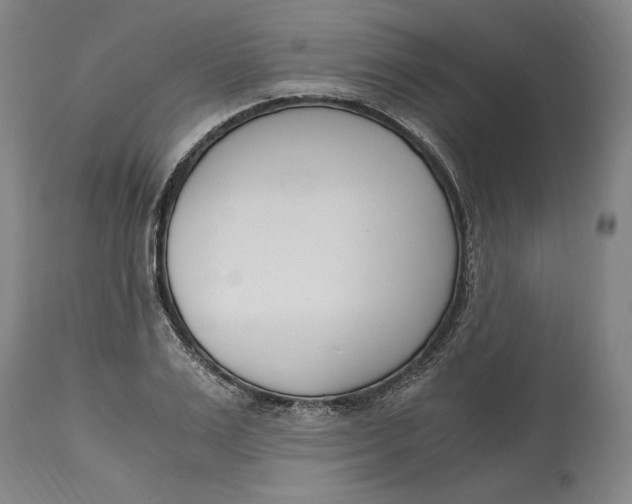 X0000115080983200911171150