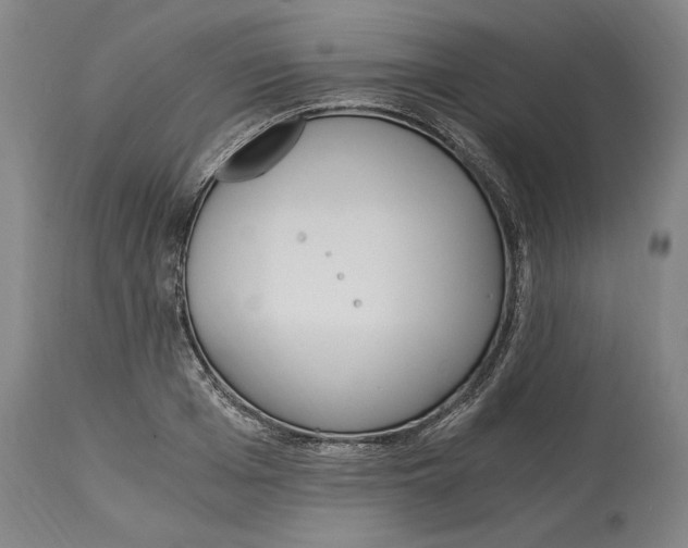 X0000115080985200911171149