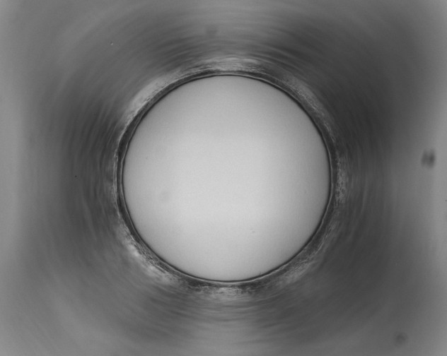 X0000115080986200911171149