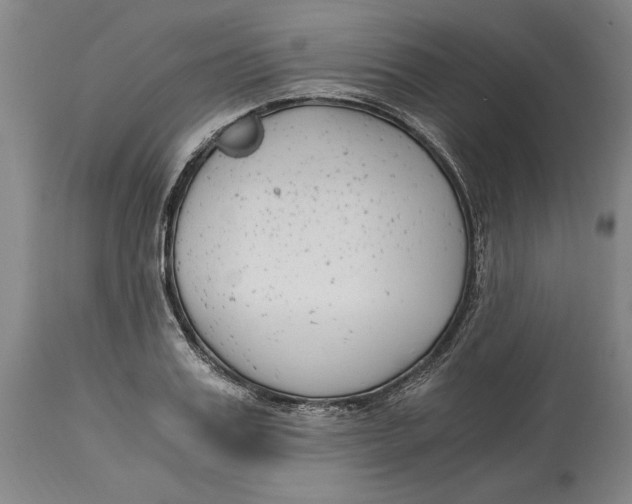 X0000115080987200911171149