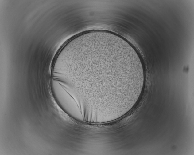 X0000115080988200911171149