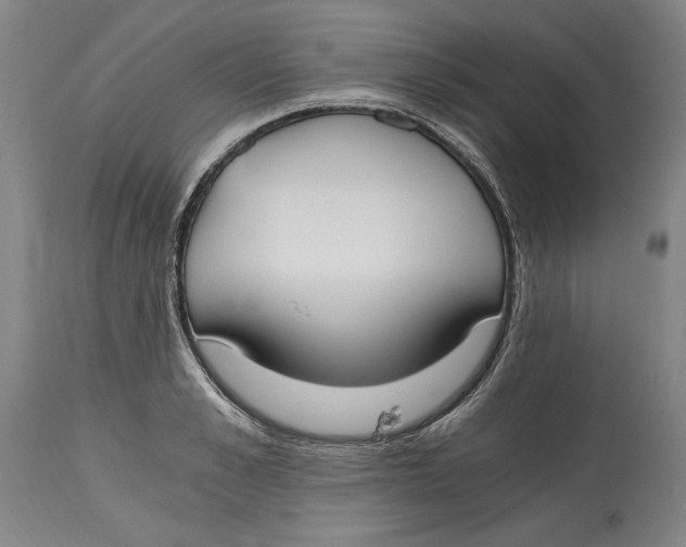 X0000115080989200911171149