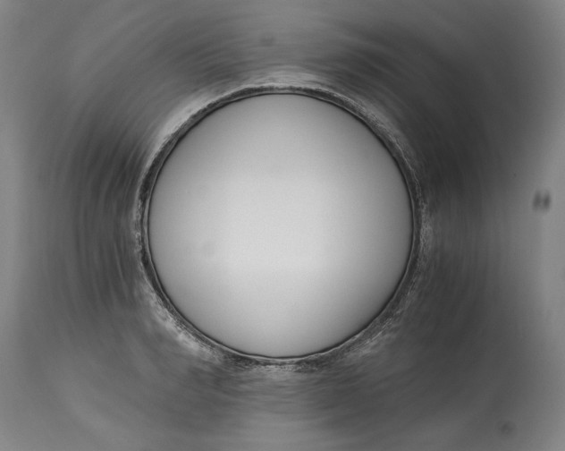 X0000115080990200911171149