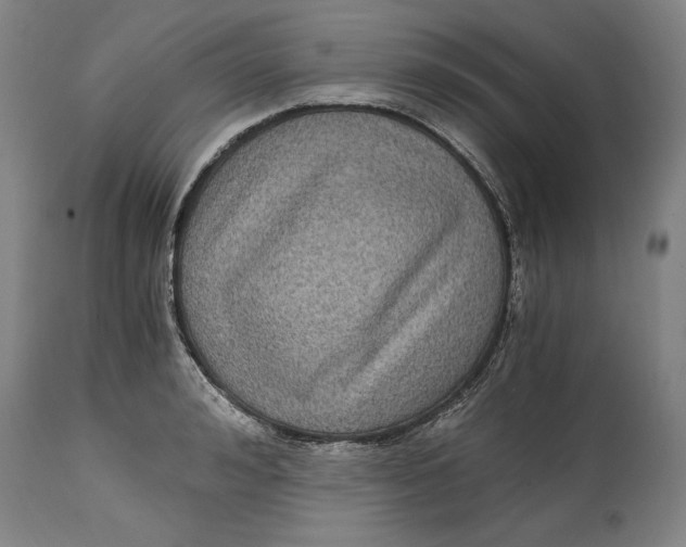 X0000115080992200911171149