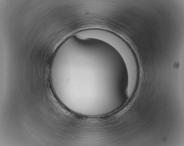 X0000115080993200911171149