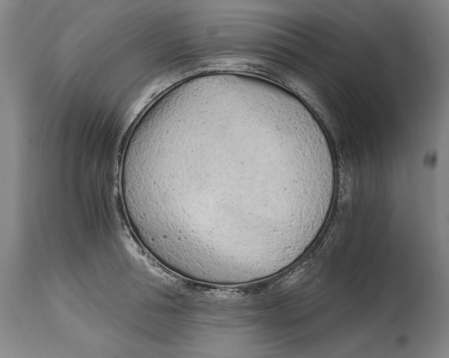 X0000115080994200911171149