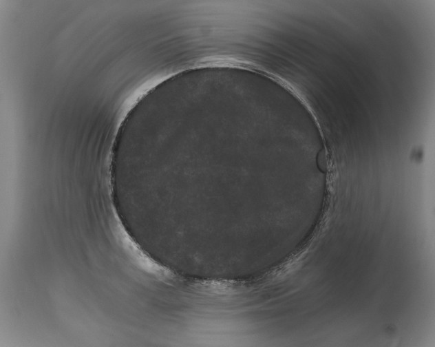 X0000115080995200911171149