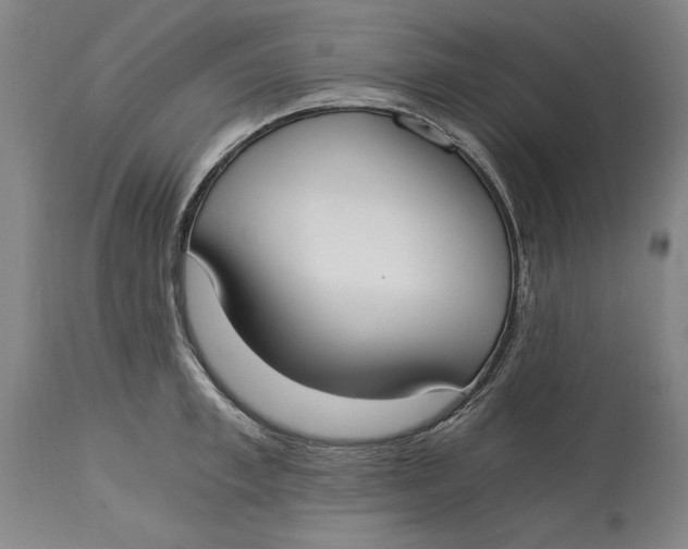 X0000115080997200911171149