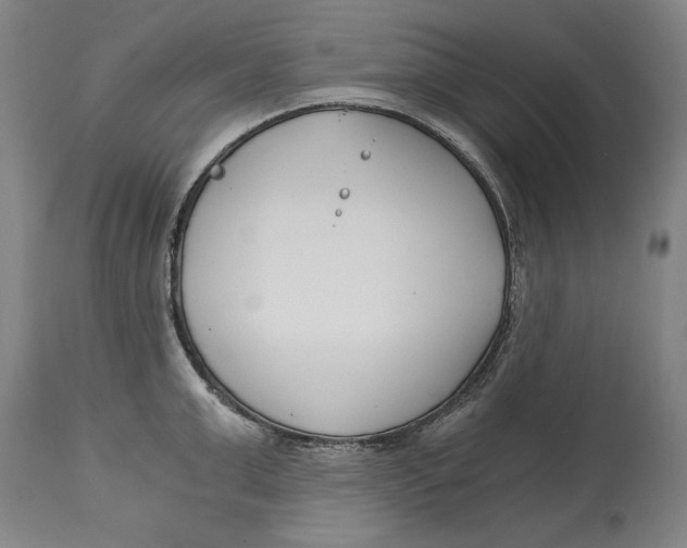 X0000115080999200911171149