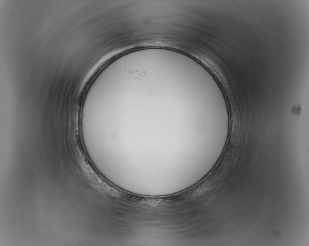 X0000115081000200911171149
