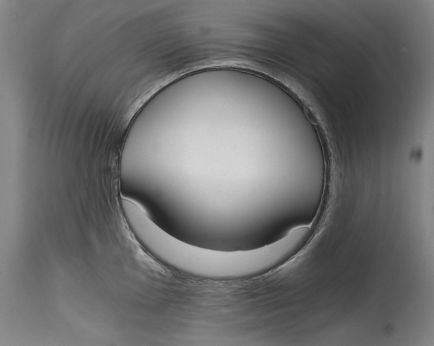 X0000115081001200911171149