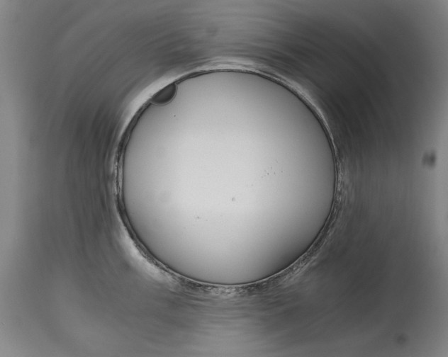 X0000115081003200911171149