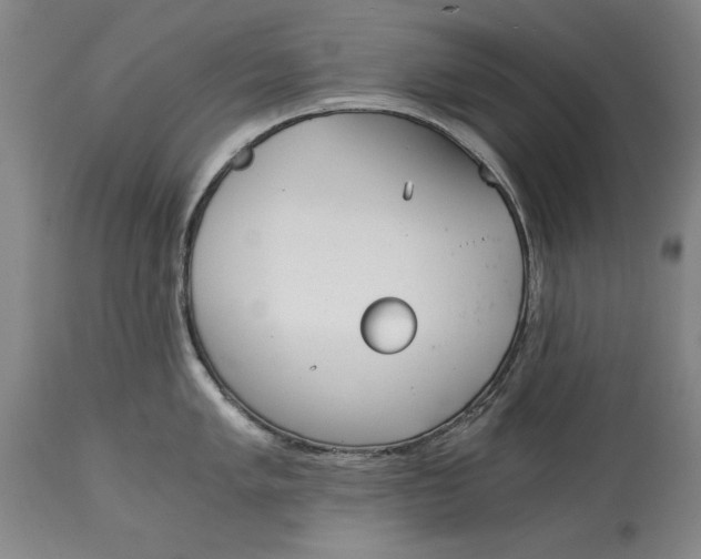 X0000115081005200911171149