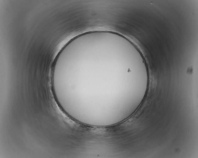 X0000115081006200911171149