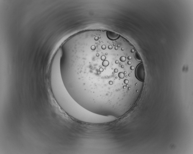 X0000115081008200911171149