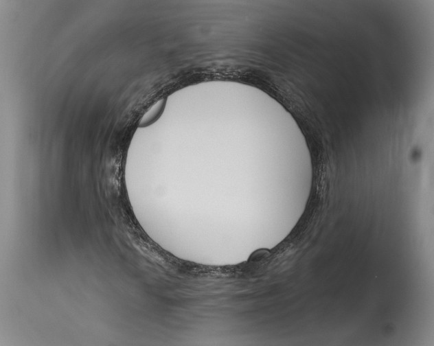 X0000115081010200911171148