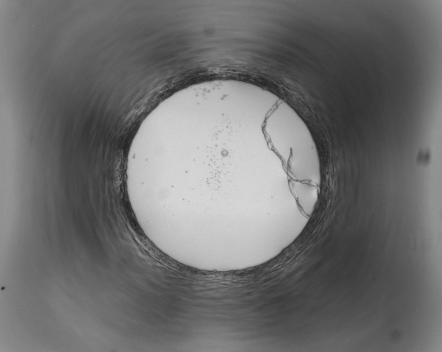 X0000115081012200911171148