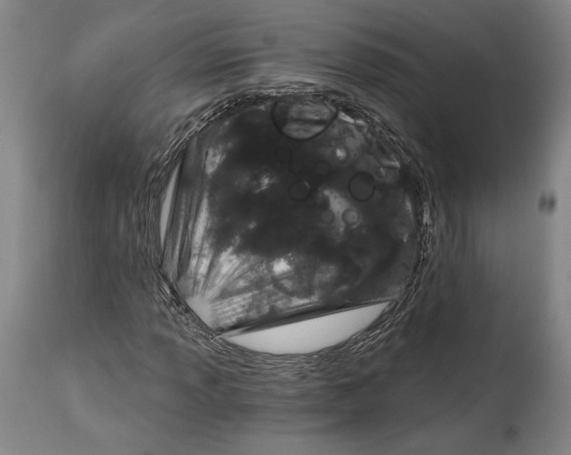 X0000115081013200911171148