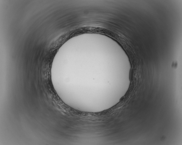 X0000115081014200911171148