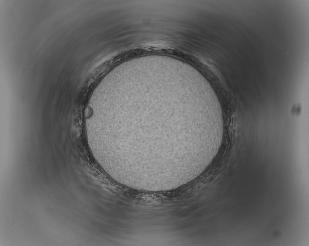 X0000115081015200911171148