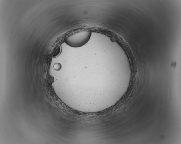 X0000115081016200911171148