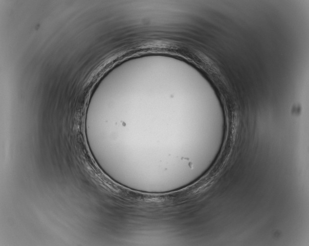 X0000115081017200911171148