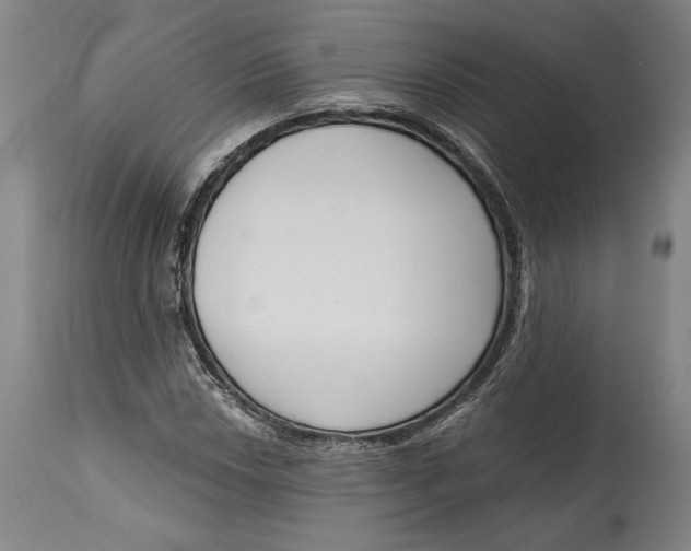X0000115081018200911171148