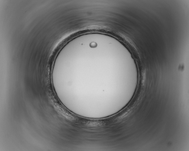 X0000115081021200911171148