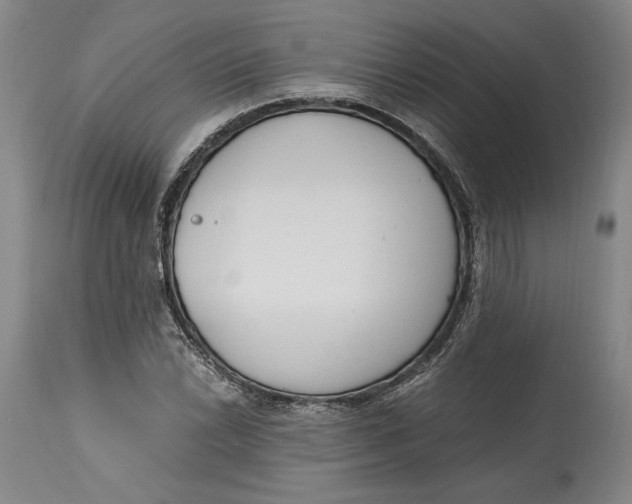 X0000115081022200911171149