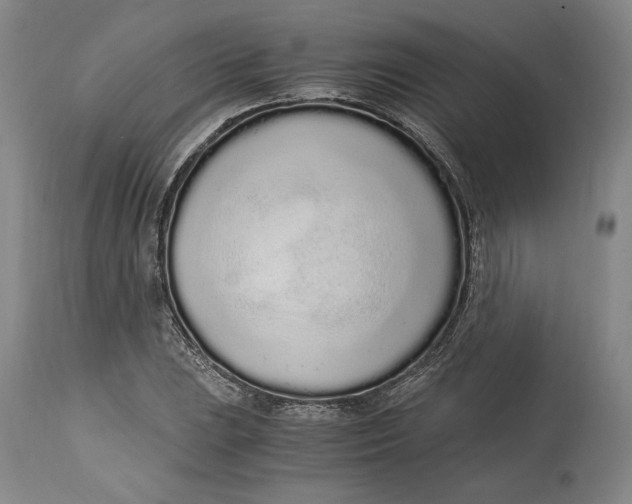 X0000115081023200911171149